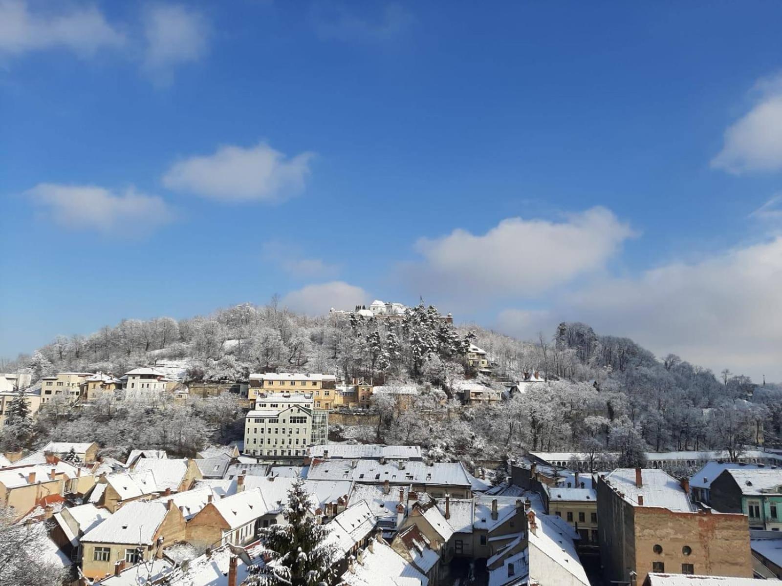 Vila Alba Brasov Bilik gambar