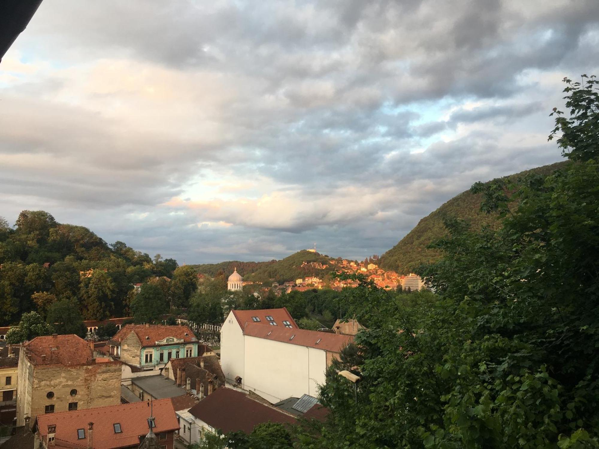 Vila Alba Brasov Bilik gambar